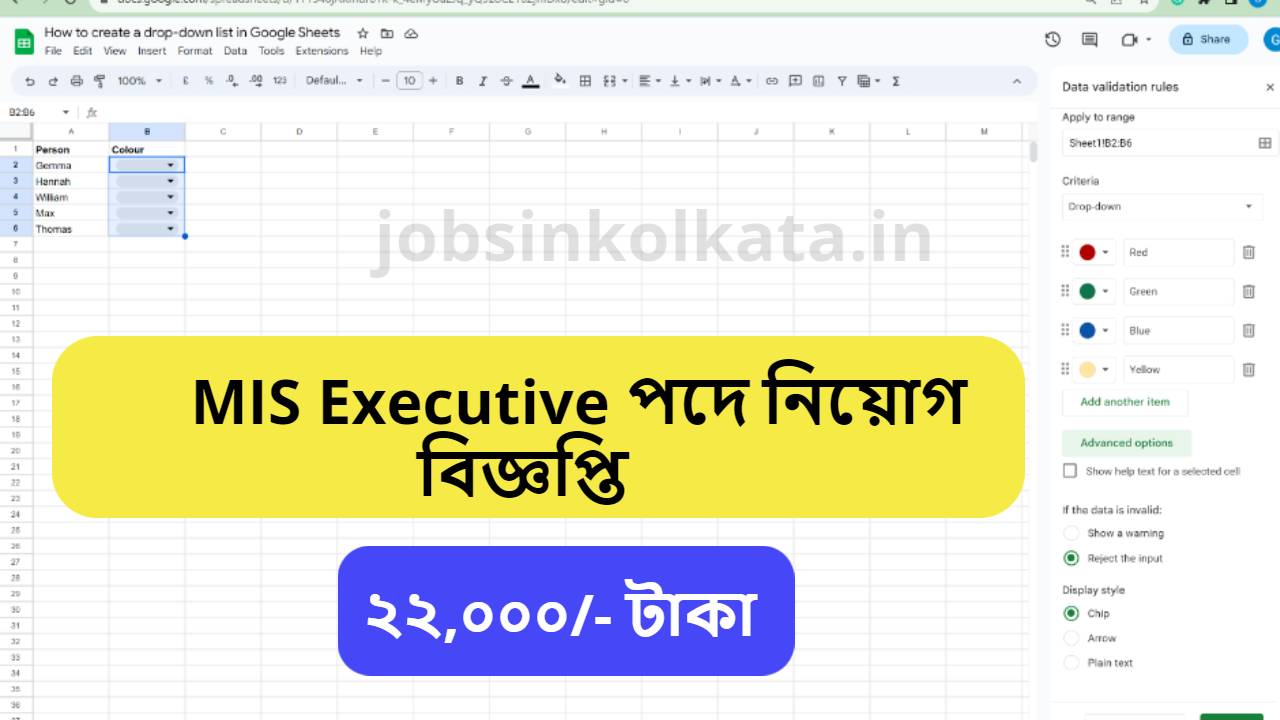 MIS Executive Job Vacancy In Ultodanga 2024