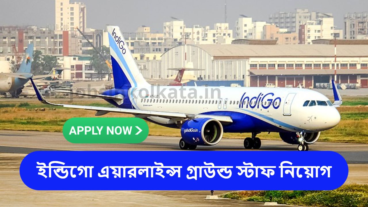 Indigo Airlines Ground Staff Recruitment 2024